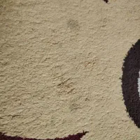 قالی ماشینی۶ متری فانتزی|فرش|صدرا-فارس, فاز ۱|دیوار