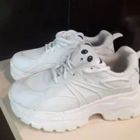 کفش مجلسی سایز ۳۷ و ۳۸ پاشنه استیل|کیف، کفش، کمربند|کاشان, الغدیر|دیوار