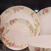 سرویس آرکوپال  در حد نو|ظروف سرو و پذیرایی|قم, چهل درخت‎|دیوار