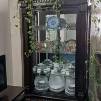 ویترین