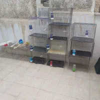 قفس پرنده.لانه برزیلی. عروس .جا دونی