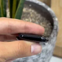 اپل واچ سری۱۰|ساعت|گنبد کاووس, |دیوار