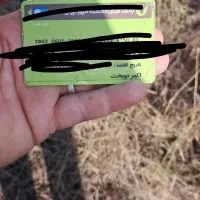 سلام مدارگ به نام اکبر نوبخت گم شده