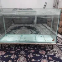 اکواریوم بزرگ فروش فوری.|ماهی|آبیک, |دیوار