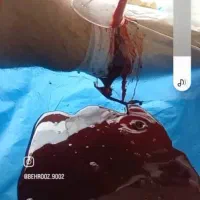 خدمات طب سنتی در محل و کلینیک