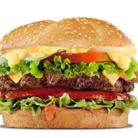 گریل کار حرفه ای
