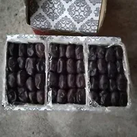 خرما ۳ ردیف و دو ردیف و دوکیلویی|خوردنی و آشامیدنی|تهران, سهروردی|دیوار