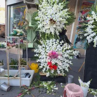 تاج گل طبعیی اجاره ای  گلفروشی