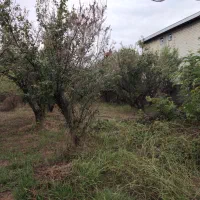 500 متر زمین مسکونی|فروش زمین و ملک کلنگی|رضوانشهر, |دیوار