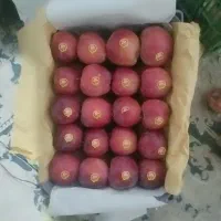 سیب|عمده‌فروشی|سرشیو, |دیوار