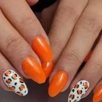 نیازمند ناخنکار