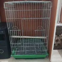 قفس ۱۰۳۳ کاسکو