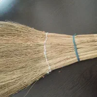 بذر جارو