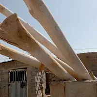 خرید چوب سقفی با بالاترین قیمت