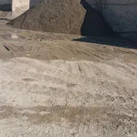 نیرو کار جوان