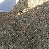 ارسال بار به مرزن آباد از ملکان