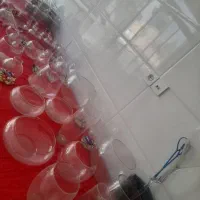 ماهی تنگ عمده وخرده