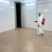 سمپاشی تخصصی سوسک و موش تضمینی