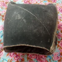 مشک قدیمی وتنه درخت