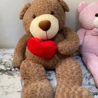 دو عدد خرس نو