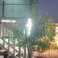 اجاره کوتاه مدت باغ باغچه ویلایی منزل خانه
