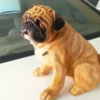 سگ پلی استرخارجی