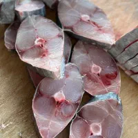 ماهی جش ماهی شیر....