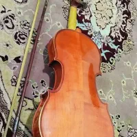 ویالوت|ویولن|گرگان, |دیوار