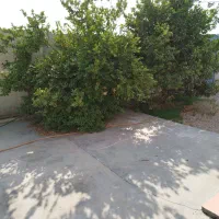 خونه ویلایی بویری شبانکاره|فروش خانه و ویلا|برازجان, |دیوار