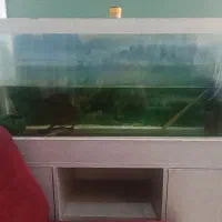 آکواریوم با ماهی معاوضه فقط با پرنده ومرغ یا فروش|ماهی|کرج, چهارصد دستگاه|دیوار