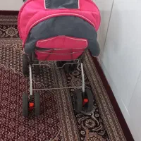 کالسکه|کالسکه و لوازم جانبی|سراب, |دیوار