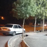 پراید کاربراتور ۸۲|خودرو سواری و وانت|کرمان, |دیوار