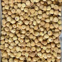 انجیر استهبان خرید از باغدار به قیمت اقتصادی