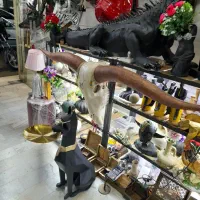 مجسمه سگ میزبان با سینی استیل