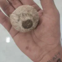 انگشتر|کلکسیون اشیاء عتیقه|شیروان (خراسان), |دیوار