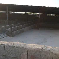 اجاره دامداری تنب گوراب برازجان فول امکانات|اجارهٔ خانه و ویلا|برازجان, |دیوار
