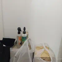 لانه عروس هلندی