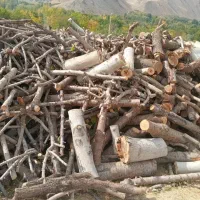 خرید چوب درکل اصفهان