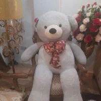 عروسک‌خرس بزرگ