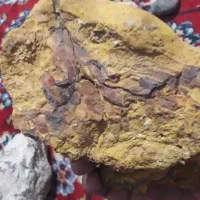 شهاب سنگ|کلکسیون اشیاء عتیقه|ملکآباد, |دیوار