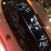 ۲۰۶ بی ضربه و بی رنگ