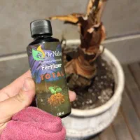 تامین و نگهداری انواع گل و گیاه با تیم مجرب|خدمات باغبانی و درختکاری|ری, بازار گل خاوران|دیوار