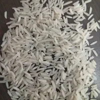 برنج پاکستانی|خوردنی و آشامیدنی|قم, انصار‌الحسین|دیوار