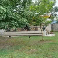 ویلا‌روستایی‌درماسوله|اجارهٔ کوتاه‌مدت ویلا و باغ|ماسوله, |دیوار