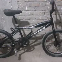 دوچرخه حرفه ای