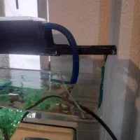 آکواریوم|ماهی|اندیشه, اندیشه فاز ۲|دیوار