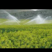 کار.کارگر.آبیاری.بارانی.دارای سابقه کار بالا