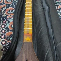 سه تار دلنواز|سازهای سنتی|صدرا-فارس, فاز ۲|دیوار