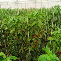 نیازمند کارگر گلخانه ( اصفهان )