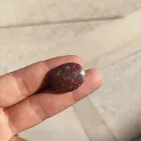 نگین شجر|کلکسیون اشیاء عتیقه|رفسنجان, |دیوار